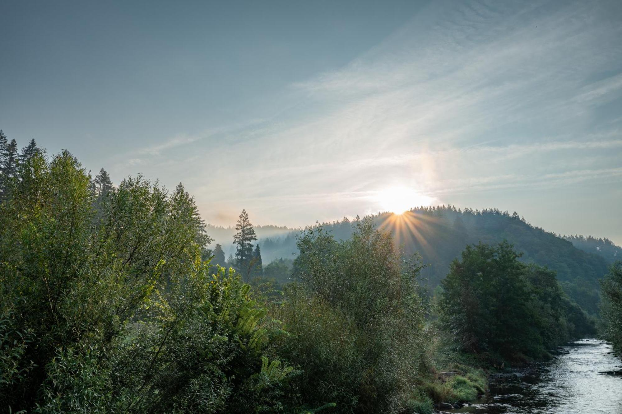 Jugendherberge Freiburg Dış mekan fotoğraf